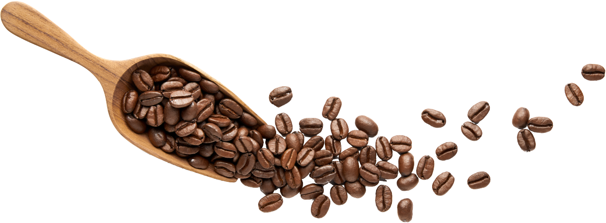 コーヒーグラウンズをめぐる課題03